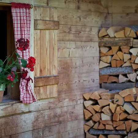 Saukaserstub'n - Schuetzkogel Διαμέρισμα Γιόχμπεργκ