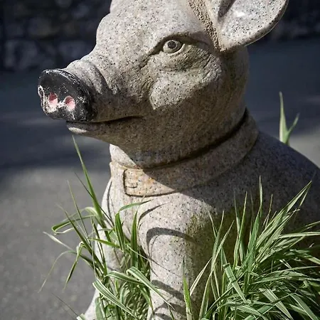 Saukaserstub'n - Schuetzkogel Διαμέρισμα Γιόχμπεργκ