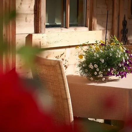 Saukaserstub'n - Schuetzkogel 公寓 约赫贝格