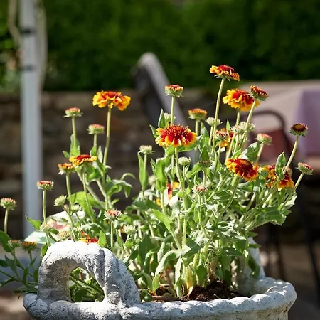 Saukaserstub'n - Schuetzkogel Διαμέρισμα Γιόχμπεργκ