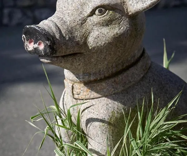 Saukaserstub'n - Schuetzkogel Appartement Jochberg