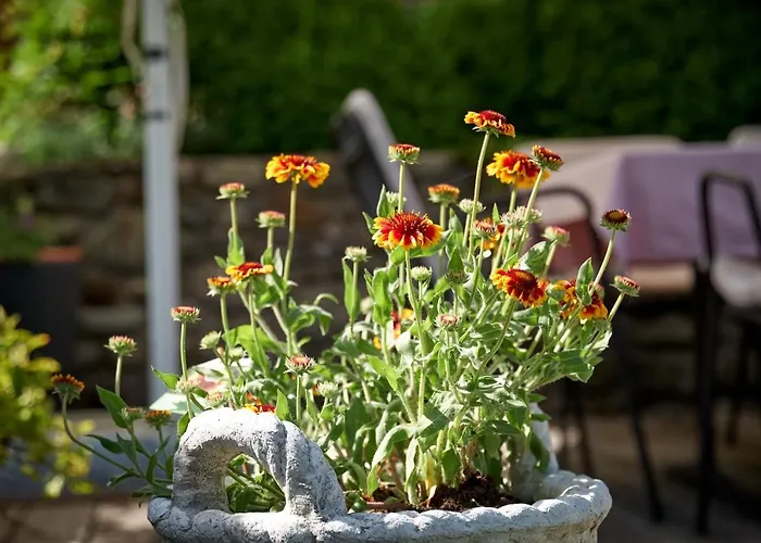 Saukaserstub'n - Schuetzkogel Appartement Jochberg