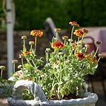 Saukaserstub'n - Schuetzkogel شقة يوخبرغ